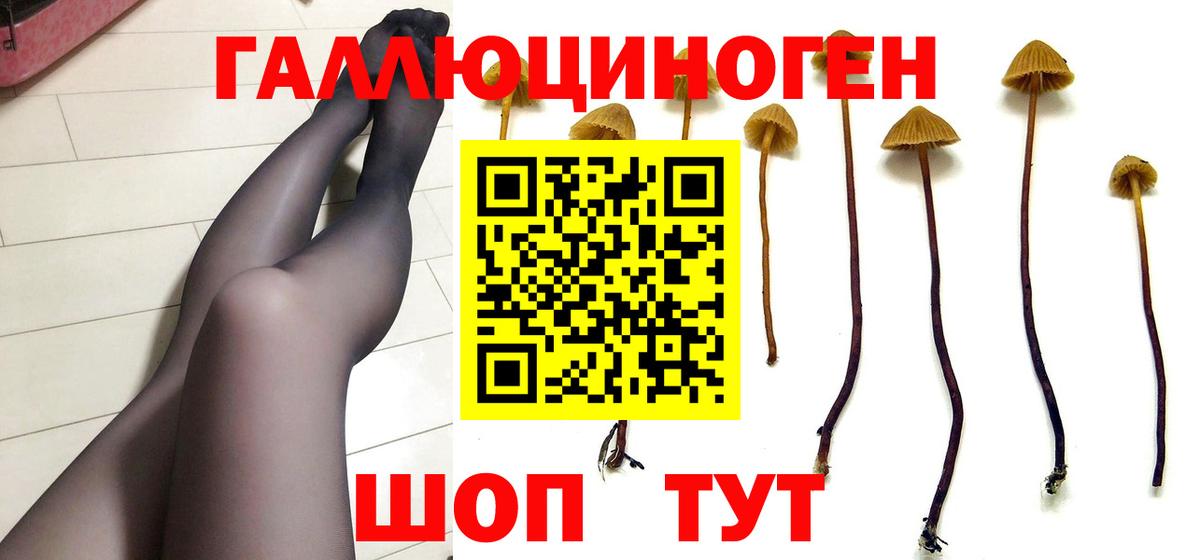 Псилоцибиновые грибы прущие грибы Балтийск